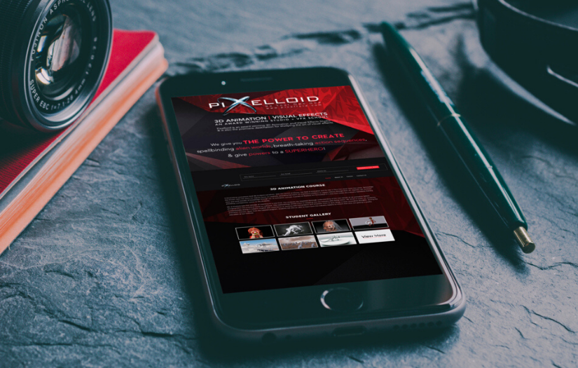 Digital Marketing Services for Pixelloid Studios screenshot 2